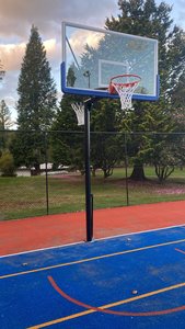 Products: Reversible Basketball and Netball Systems: Fixed Height - Mayfield Sports