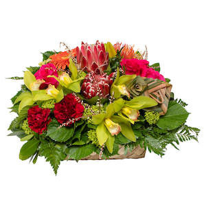 Arrangements: Pacifica