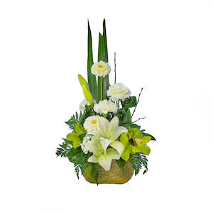 Arrangements: Kete Arrangement