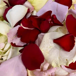 Roses: Rose Petals