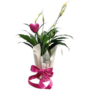 Plants: Peace Lily with Felt Heart