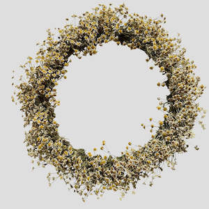 Matricaria Wreath