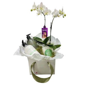Gift Baskets: ECOYA & Mini Orchid Bundle