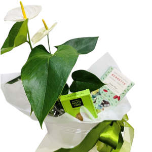 Anthurium Tin with Chocolate & Fudge