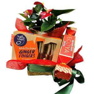 Red Anthurium Gift Basket
