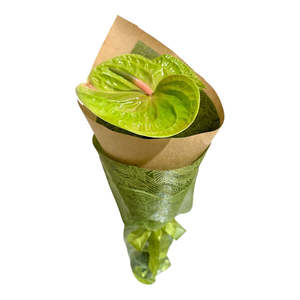 Bouquets: NMIT Graduation Anthurium