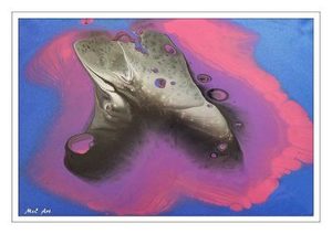 Products: Soft Cell-u-licious – Digital Image