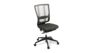 Specials 1: Cloud Ergo Chair (February Special)