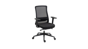 New Arrivals: Aligna Chair (Exclusive)