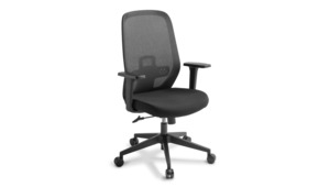 Memo Mesh Chair (Chair of the Month)