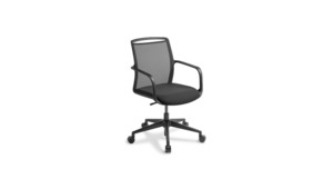 Summit Meeting Chair - Clearance