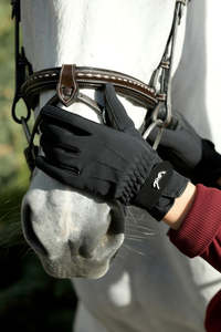 Rider Collection: Penelope Hiver Gloves