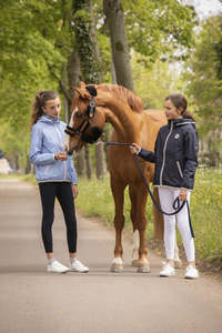 Rider Collection: Penelope Rain Short Jacket
