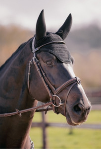 Equine: Penelope Soundless Strass Ear Bonnet