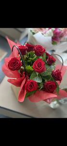 1 Dozen 40cm Red Roses