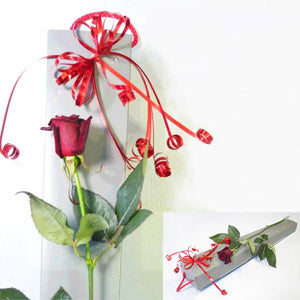 Anniversary: Single Red Rose Box