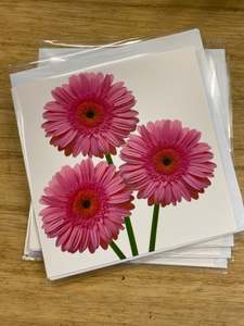 Mothers Day Collection 2020: Gerbera Gift Card