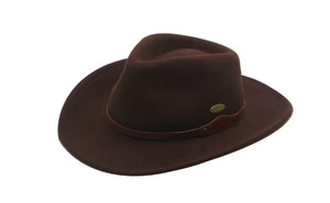 Electric Pukeko - Brooklyn Hat