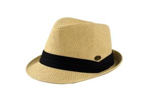 Electric Pukeko: Electric Pukeko - Master Cream Hat