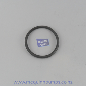 Anderson 1105 Piston Pump – McQuinn Pumps: 670/36 Anderson O Ring 2 7/8 inch OD – Per Each