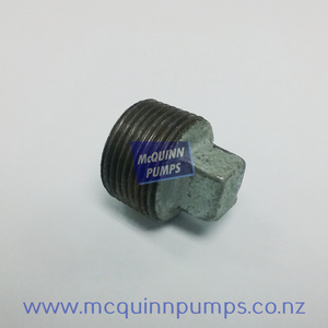 Anderson 253 Piston Pumps – McQuinn Pumps: Anderson 3/4 BSP Plug 147/5 – Per Each