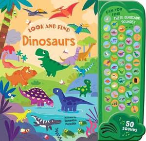 Look and Find Dinosaurs sound book