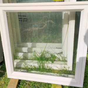 Products: Windows