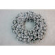 Frosted Pine Wreath