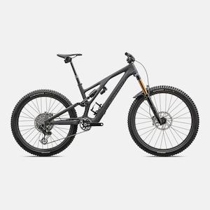 Bikes Mountain: S-Works Stumpjumper EVO T-Type
