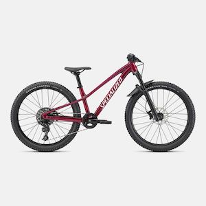 Bikes Kids: Riprock Expert 24