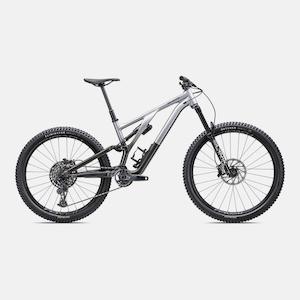 Stumpjumper EVO Elite Alloy  - SRAM GX Eagle, RockShox Ultimate