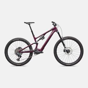 Specialized Turbo Levo: Turbo Levo SL 2 Expert