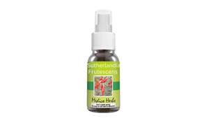 Adaptogens: Sutherlandia Frutescens Spray - 50 ml.