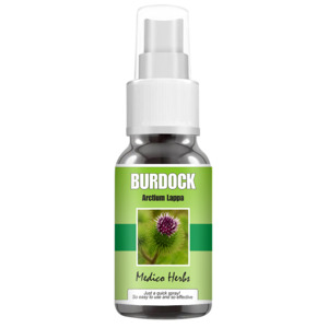 Burdock Root Tincture 50ml (Arctium lappa) x 2 bot