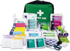 Lewis-Plast Premium All Purpose 309 Piece First Aid Kit