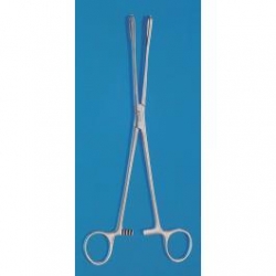 RAMPLEYS Sponge Holding Forceps