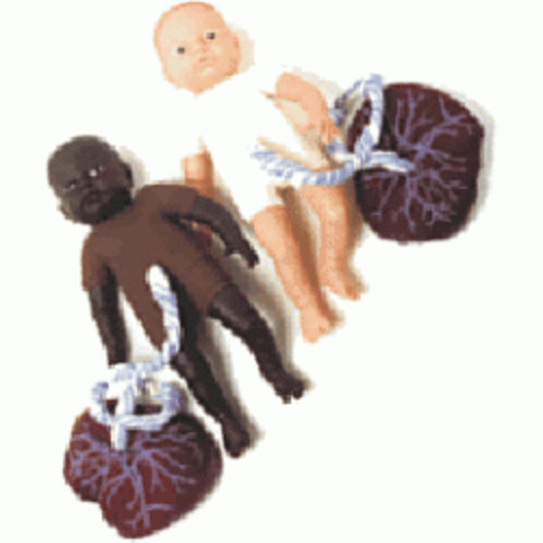 Fetal Doll Pink