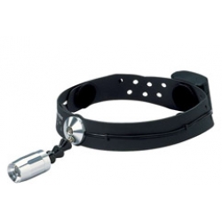 Diagnostics: Riester Ri-focus® Led 6091