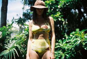 Hakea: Palma Top Sunflower