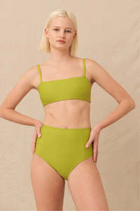 Hakea: Santiago Bottom Yucca