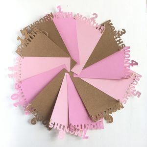 Products: First Year Photo Garland - Melrose Paper Designs