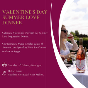 Valentine's Day Summer Love Dinner