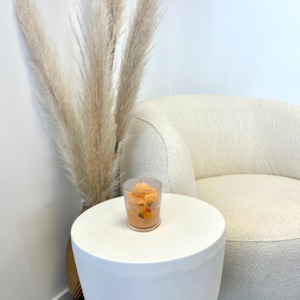 Cupcake Collection: Mango Sorbet