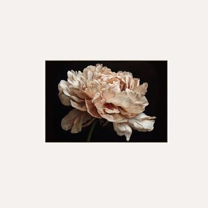 Flower Bomb V1
