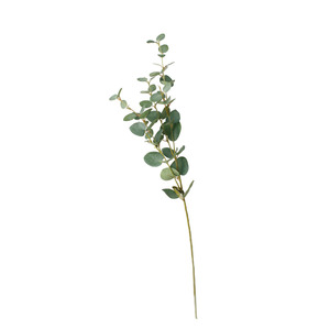 Planters: Silver Dollar Eucalyptus Stem Natural Green - 80cm