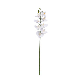 Planters: Phalaenopsis Orchid White - 86cm