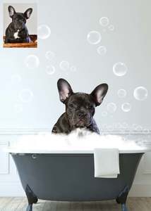 Digital Portraits: Bathtub Pets