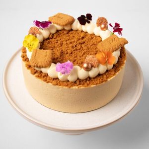 Eggless Biscoff Mango Cheesecake MEMO Cakery