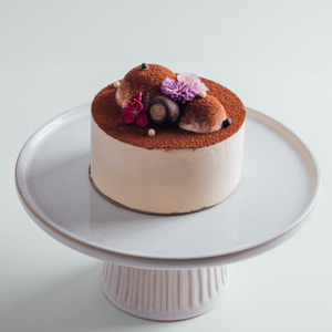 Tiramisu Mini Cake in Auckland - MEMO Cakery