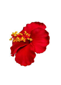 Hair Sei: Hibiscus Hair Sei